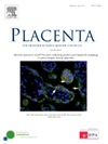 PLACENTA