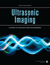 ULTRASONIC IMAGING