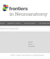 Frontiers in Neuroanatomy