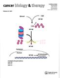 CANCER BIOLOGY & THERAPY