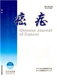 CANCER JOURNAL