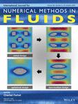 INTERNATIONAL JOURNAL FOR NUMERICAL METHODS IN FLUIDS