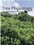 TREE PHYSIOLOGY