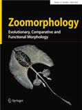 ZOOMORPHOLOGY